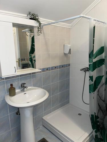 Koupelna v ubytování Guest Radic Apartment 2