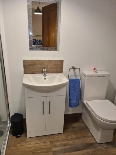 a bathroom with a sink and a toilet and a mirror at The Manor Guest Accommodation Dungiven in Dungiven
