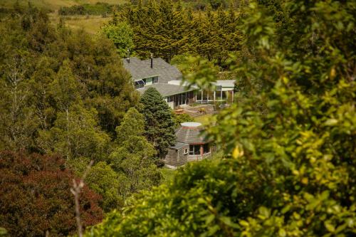 an aerial view of a house in the trees at Woodland Glen Lodge B&B in Hokitika