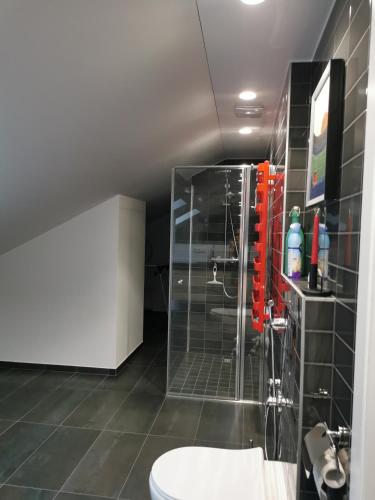 a bathroom with a shower and a toilet at Charming Apartment in Kaunas Old Town with Balcony in Kaunas