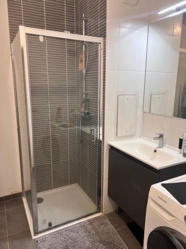ein Bad mit einer Dusche und einem Waschbecken in der Unterkunft Private room 25 minutes from « la Défense » in Sartrouville