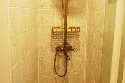 y baño con ducha con cabezal de ducha. en Appartement 2 étages Paris - Métro 9 Grands Boulevards - Folies Bergères en París