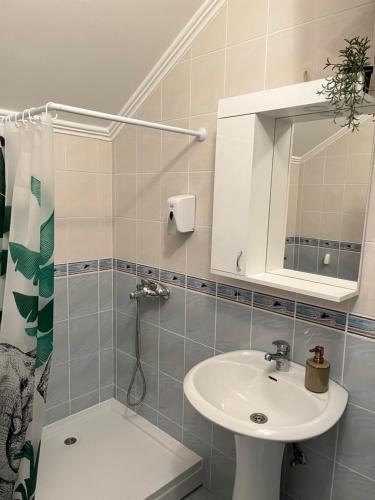 a bathroom with a sink and a toilet and a mirror at Guest Radic Apartment 3 in Palić