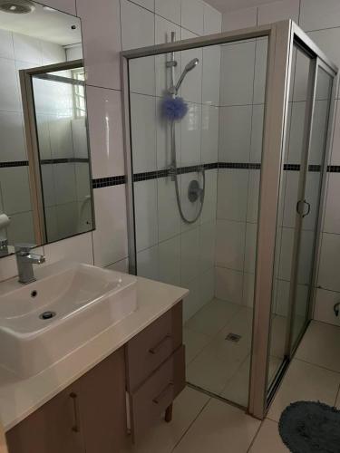 La salle de bains est pourvue d'une douche, d'un lavabo et d'un miroir. dans l'établissement Pacific FairPrice, à Nadi