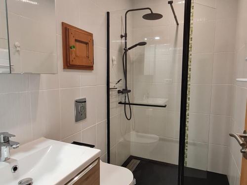 y baño con ducha, lavabo y aseo. en Gîte Buxières-sous-les-Côtes, 2 pièces, 4 personnes - FR-1-585-90, en Buxières-sous-les-Côtes