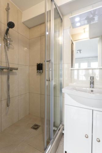 La salle de bains est pourvue d'une douche et d'un lavabo. dans l'établissement Le Blanc-Mesnil parc des expos studio RDJD barbecue, au Blanc-Mesnil