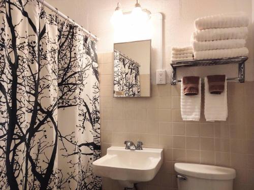 a bathroom with a sink and a toilet and a shower curtain at #02 - Unique Lakeside Studio Cottage- Pet Friendly in Hot Springs