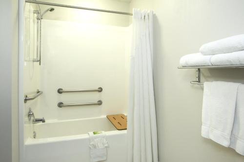a bathroom with a shower and a white shower curtain at Kalamazoo Hotel and Suites in Kalamazoo