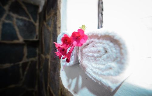 a pink flower is sitting on a window sill at Rumi Lodge Pisac in Pisac