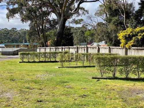 a row of bushes in a field next to a fence at Strahan Beach Tourist Park in Strahan