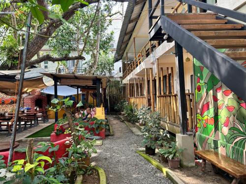 un edificio con un montón de plantas en un patio en Lazy Dog Bed & Breakfast, en Boracay