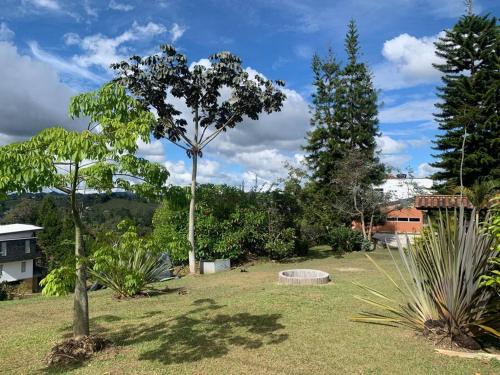 a park with a tree in the middle of a yard at Hermosa casa de campo en ambiente tranquilo. in Rionegro