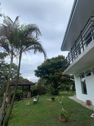 a yard with a palm tree and a building at Hermosa casa de campo en ambiente tranquilo. in Rionegro