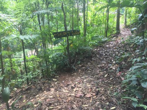 a sign in the middle of a trail in the woods at Montaña Verde in Rivas
