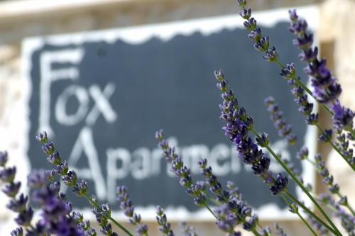 un montón de flores púrpuras con un cartel en el fondo en Fox Apartments, en Cavtat
