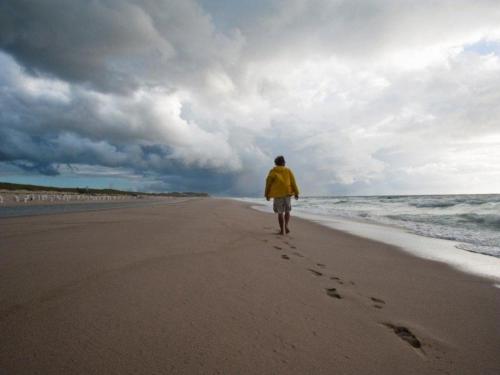 カンペンにあるSpatzennestの砂浜を歩く男