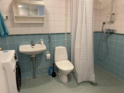 a bathroom with a toilet and a sink at Utopia 1BR and sauna in Tornio
