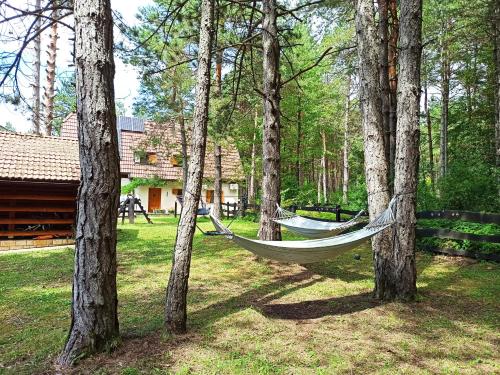 un'amaca sospesa tra due alberi in un cortile di Alexandar Holiday Apartments and Cottage a Rudanovac