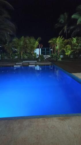 a blue swimming pool at night with palm trees at QUINTA DIAMANTE villas&hotel in Barra Vieja
