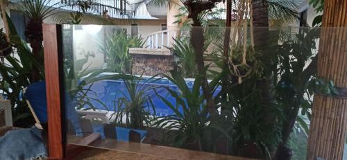 a fish tank in a room with plants at QUINTA DIAMANTE villas&hotel in Barra Vieja