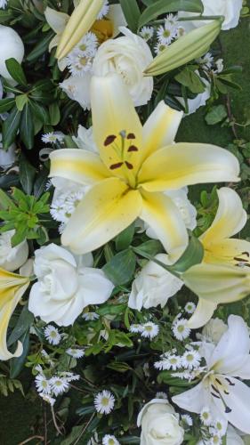 a bunch of white flowers in a bouquet at QUINTA DIAMANTE villas&hotel in Barra Vieja