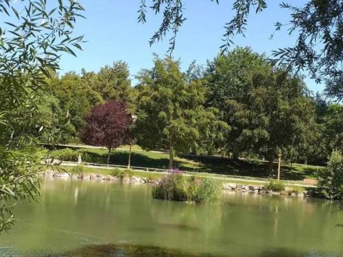 a view of a pond with trees in the background at Reims centre-ville pour 6 personnes in Reims