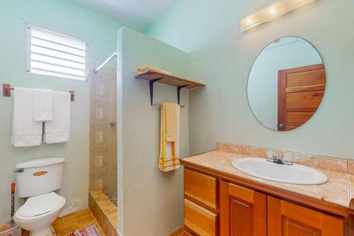 y baño con aseo, lavabo y espejo. en De Real Macaw, en Caye Caulker