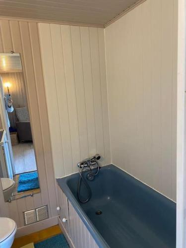 La salle de bains est pourvue d'une baignoire bleue et de toilettes. dans l'établissement Chalet Puyvalador station vue panoramique montagne, à Puyvalador