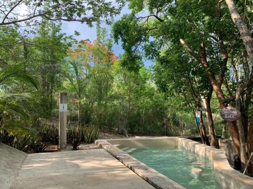 a swimming pool in the middle of a forest at El Encanto - Hotel Boutique in Chichén-Itzá