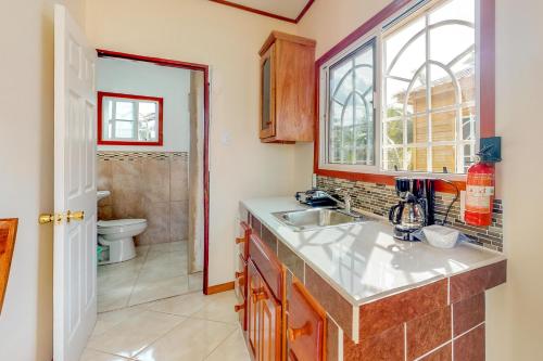 uma cozinha com um lavatório e uma janela em Hummingbird Estate em Dangriga