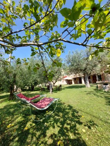 Pietra Antica Agriturismoにある庭