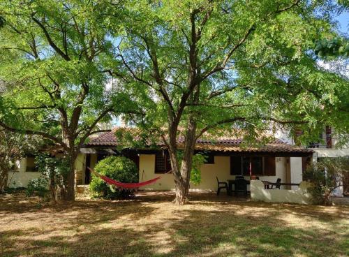 una casa con árboles y una hamaca delante de ella en Villa en Trets