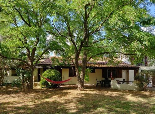 Κήπος έξω από το Villa des arbres