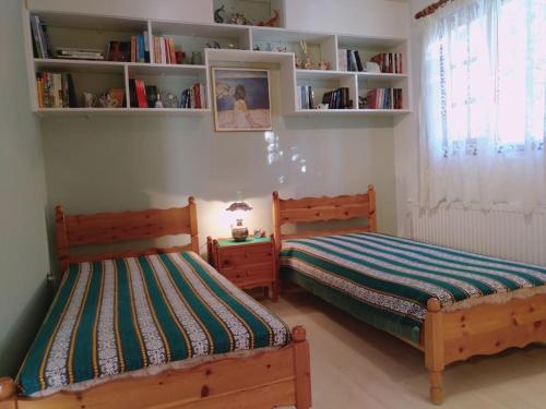 ein Schlafzimmer mit 2 Betten und einem Bücherregal in der Unterkunft Explore Aegina Island in Souvala