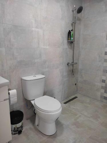 a bathroom with a toilet and a shower at Villa Twins Dojran in Nov Dojran