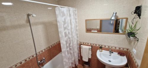 a bathroom with a sink and a shower at Junto a la Catedral in Burgos