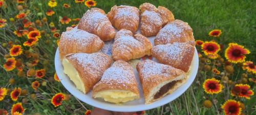 a plate of pastries with powdered sugar on it at Agriturismo La Collina Verde in Levanto