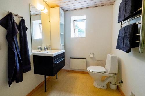 a bathroom with a toilet and a sink and a mirror at Købmandsgården 3 in Sæby