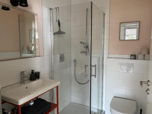 een badkamer met een douche en een wastafel bij Albnest in Mössingen