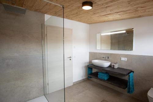 a bathroom with a sink and a glass shower at Alpinchalet in Pfronten