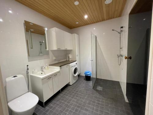 een badkamer met een toilet, een wastafel en een douche bij Apartment Mäkitie, Pyhäjoki in Pyhäjoki