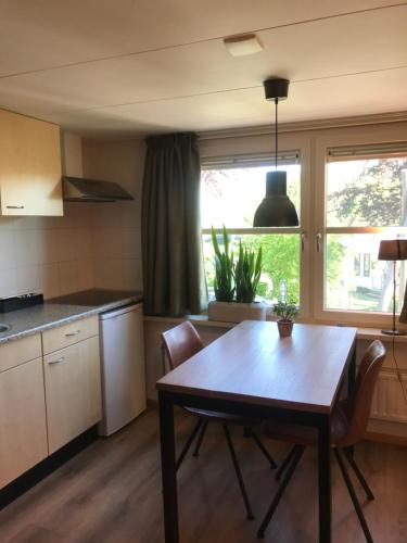 cocina con mesa, sillas y ventana en Appartement en Opheusden