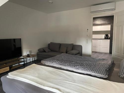 sala de estar con cama y sofá en SWID Appartement 9, en Delitzsch