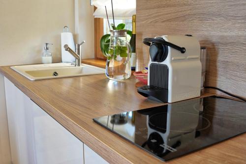 a kitchen counter with a hair dryer and a toaster at Suites DANICA in Šmartno
