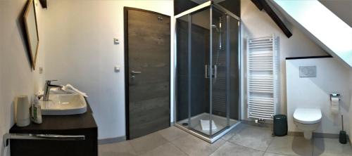 uma casa de banho com um chuveiro, um lavatório e um WC. em POSTRELAIS ARDENNES "Belle-Vue" em Burg-Reuland