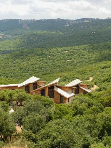 Fotografie z fotogalerie ubytování Ajloun Forest Reserve v destinaci Džaraš