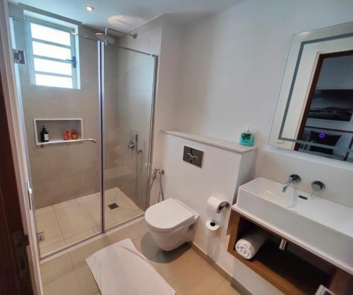 a bathroom with a shower and a toilet and a sink at Ocean Point Beach Front Apartment in Pointe aux Piments