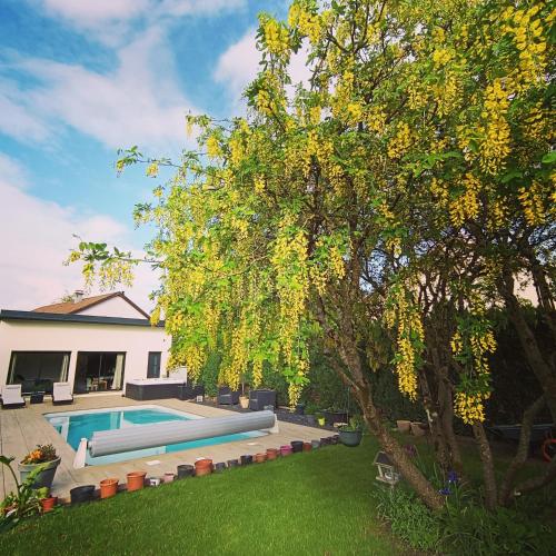 une maison avec une piscine dans une cour dans l'établissement lovebirds spa, à Vincey
