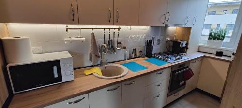 Gallery image of Rooftop condo 45 in Braşov