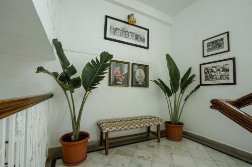 a room with two potted plants and a bench at Burj Baneria - A Boutique Homestay in Udaipur
